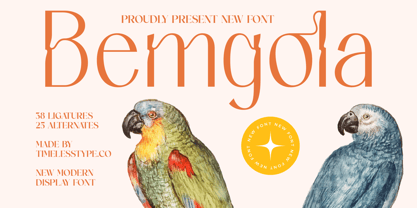 Bemgola Font Poster 1