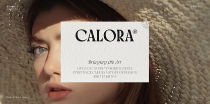 Brighty Harmony Font Poster 14