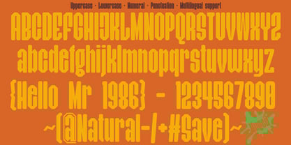 Nuged Font Poster 4