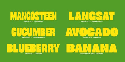 DKS Groovezilla Font Poster 4