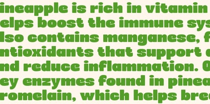 DKS Groovezilla Font Poster 11