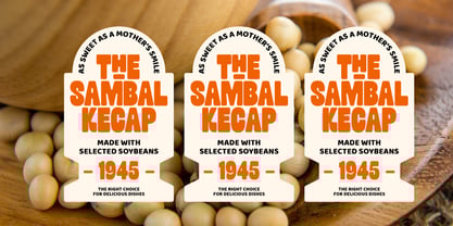 DKS Groovezilla Font Poster 5