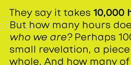 Raneva Font Poster 6