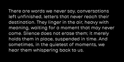 Raneva Font Poster 3