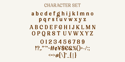 Mekuria Salten Font Poster 8