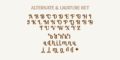 Mekuria Salten Font Poster 9