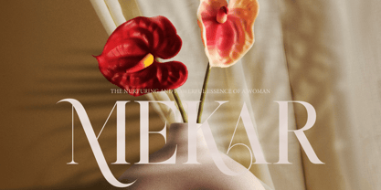 Rosse Merona Font Poster 10