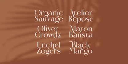 Rosse Merona Font Poster 3