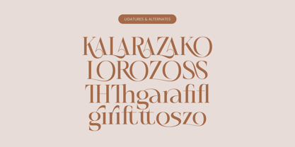 Rosse Merona Font Poster 14