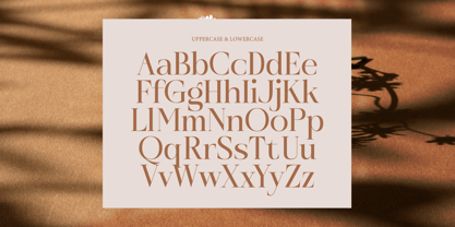 Rosse Merona Font Poster 8