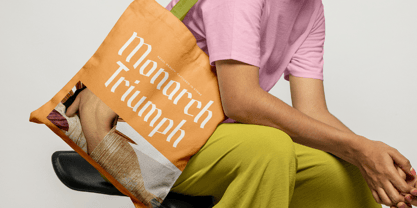 Barklise Font Poster 8