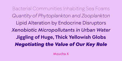 Moucha X Font Poster 3