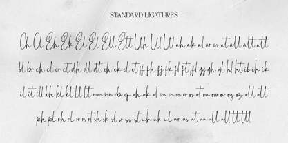 Maltangles Signature Font Poster 9