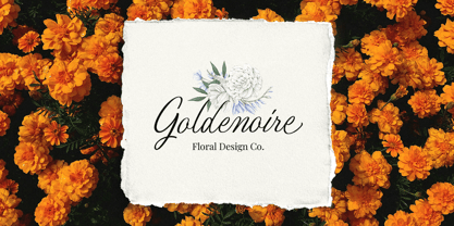 Quishine Classic Script Font Poster 11