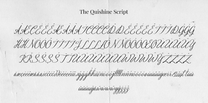 Quishine Classic Script Font Poster 13