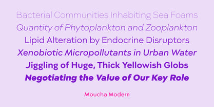 Moucha Modern Font Poster 3