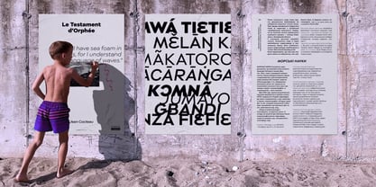 Moucha Modern Font Poster 6