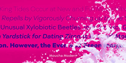 Moucha Modern Font Poster 4