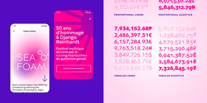 Moucha Modern Font Poster 9
