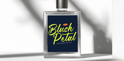 Manteca Backlif Font Poster 7