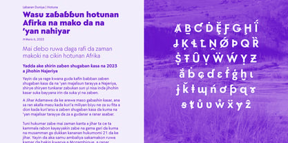 Moucha Vintage Font Poster 8