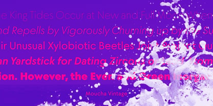 Moucha Vintage Font Poster 4