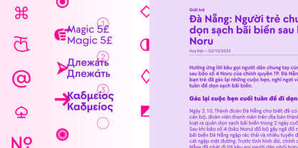 Moucha Vintage Font Poster 7