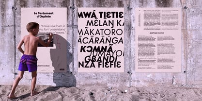 Moucha Vintage Font Poster 6
