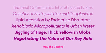 Moucha Vintage Font Poster 3