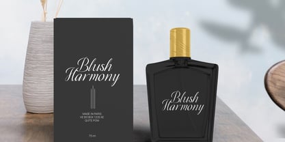 Airalia Font Poster 10