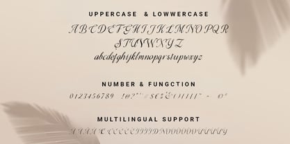 Airalia Font Poster 11