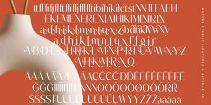 Muteds Starlit Font Poster 11