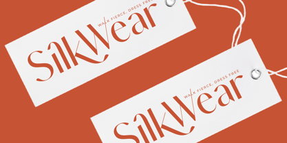 Muteds Starlit Font Poster 14