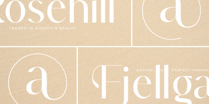 Muteds Starlit Font Poster 2