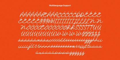 Nigheist Script Font Poster 12