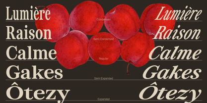 ZT Otez Font Poster 9