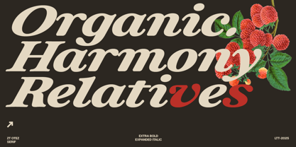 ZT Otez Font Poster 10