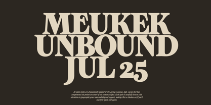ZT Otez Font Poster 7