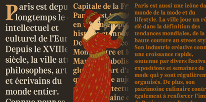 ZT Otez Font Poster 8