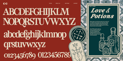 ZT Otez Font Poster 11