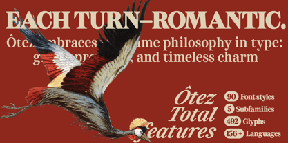 ZT Otez Font Poster 14