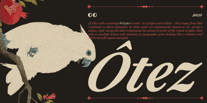 ZT Otez Font Poster 1