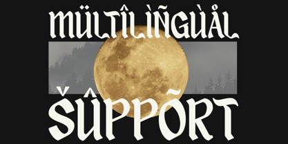 Sandey Molse Font Poster 13