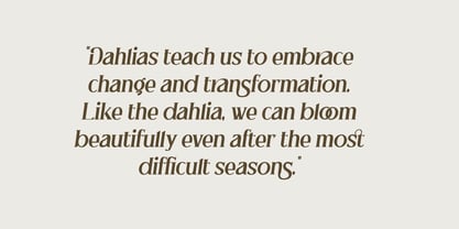 Brilune Font Poster 2