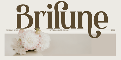 Brilune Font Poster 1