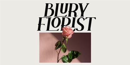 Brilune Font Poster 6