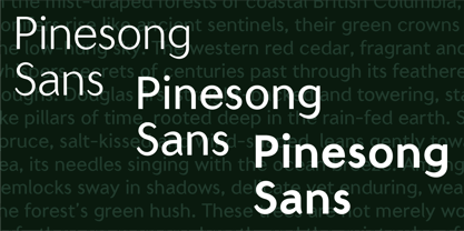 Pinesong Sans Font Poster 1