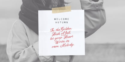 Twizler Font Poster 5