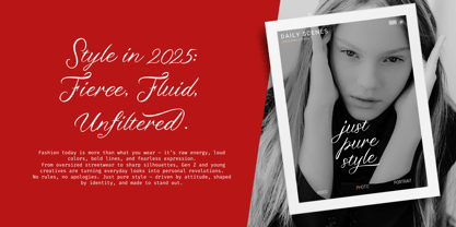 Twizler Font Poster 11