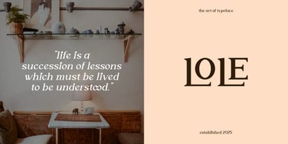 Moonclare Font Poster 6